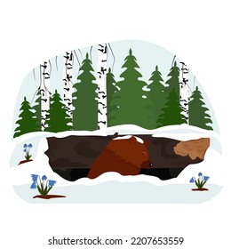 In the spring, the bear wakes up after hibernation and comes out of his den into the forest. Vector illustration.