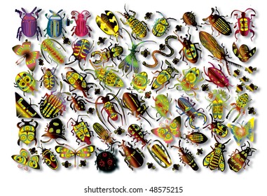 Spring Beatles Set (vector)