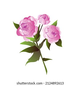 spring beautiful bouquet with peonies 