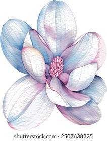 Spring beautiful flower. Magnolia on a white background, watercolor painting. Flower Hand drawing