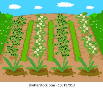 Frühlingslandschaft 