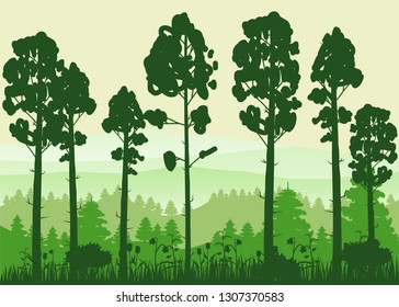 Spring beautiful landscape, forest, silhouettes of tree trunks, green color of foliage. Panorama, horizon, nature. Vector illustration, cartoon style, isolated, banner, template, poster, card