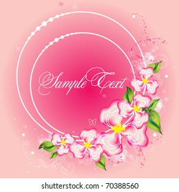 Spring beauty flowers