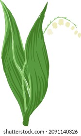 Spring bell flower. Lily of valley herb illustration