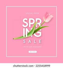 Spring big sale poster with realistic full blossom tulip on pink background. Vector illustration