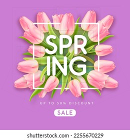 Spring big sale poster with realistic full blossom tulips on purple background. Vector illustration