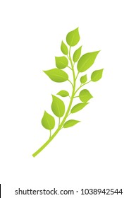 Spring birch brunch with green leaves in realistic design vector illustration isolated on white background. Decorative springtime greenery element