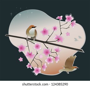 spring bird