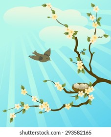 Spring bird.