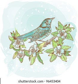 Spring Bird Illustration - hand-drawn in vector