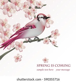 Spring bird on blossom cherry tree branch Vector illustration. Beautiful Postcard for Mother's Day, Birthday, Anniversary. Pastel pink colors. Vector illustration
