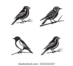 Conjunto de pájaros de primavera. Diferente pajarito hermoso con flores y rama. Ilustración de dibujos animados de Vector en estilo infantil aislado en blanco. Conjunto de pájaros de primavera. Diferentes pájaros.