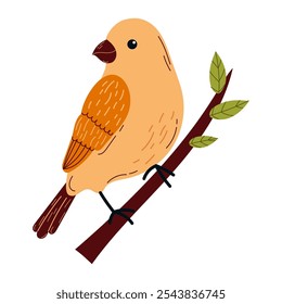 
Spring  birds  single element. Spring singing birds. Vector birds for postcards and t-shirts.
