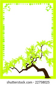 spring blank