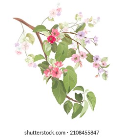 Spring bloom blossom. Branch with pink apple tree flowers. Twig with light reddish florets, buds, green leaves on white background. Digital realistic illustration in watercolor style, vintage, vector