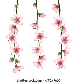 Spring bloom branch with pink flowers, buds vector. Blooming cherry tree twigs set, blossom collection. Apple, peach, chinese cherry or apricot flowering branches. Realistic design isolated on white. 