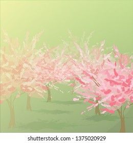 
Spring bloom. Cherry blossoms Pink tree. Sakura. Fruit trees. Blooming in parks