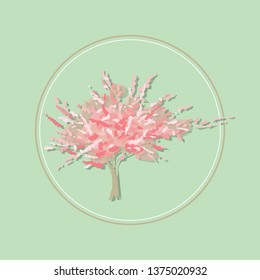 
Spring bloom. Cherry blossoms Pink tree. Sakura. Fruit trees. Blooming in parks
