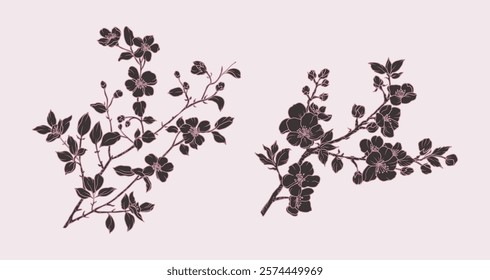 Spring blooming branch. Hand drawn silhouette of branch with flowers and leaves. Vector botanical isolated illustration