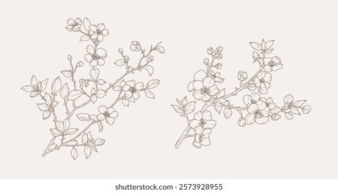 Ramos florescendo primavera com folhas e flores. Esboço botânico desenhado à mão em estilo de arte de linha. Ilustração isolada de vetor
