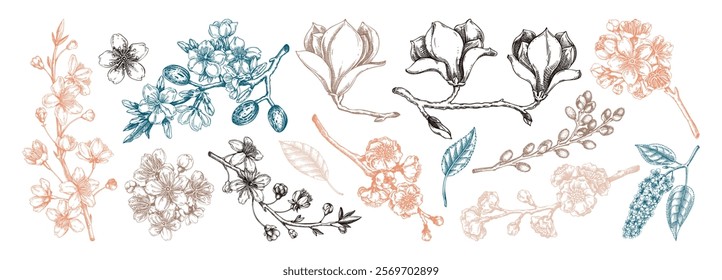 Spring blooming branches sketches. Hand-drawn botanical illustration. Trendy brown floral design. NOT AI genereted
