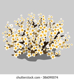 Spring blooming Bush. Vector illustration.