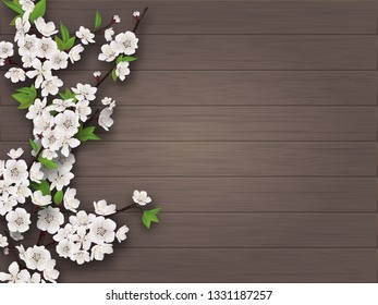 Spring blooming cherry branch on white old wood background. Blank for advertising flyer or invitation card. Realistic illustration.