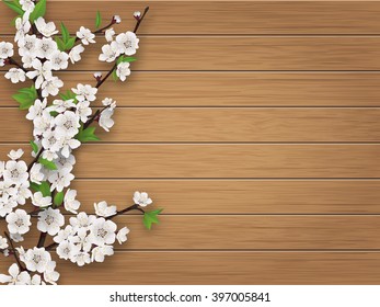 Spring blooming cherry branch on brown old wood background. Realistic vector illustration. Spring background. Template for spring greeting card.
