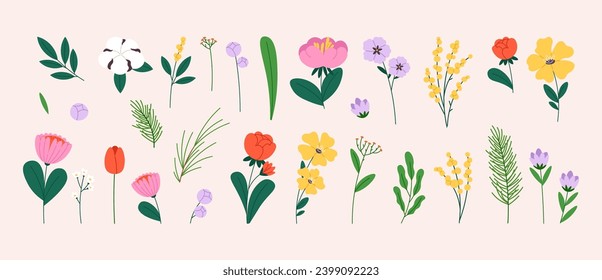 Spring blooming flowers. Isolated flower flat style, tulips and peony, chamomile and daisy. Green branches, cartoon floral vector clipart