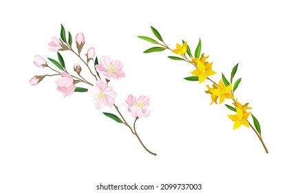 Spring blooming tree and shrub branches set. Forsythia and cherry tree twigs vector illustration
