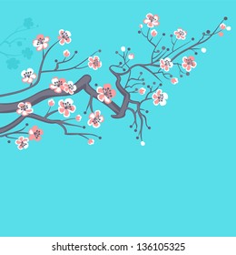 Spring blossom