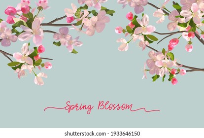 Spring blossom background with blooming pink flowers in a horizontal banner