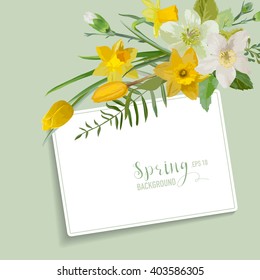 Spring Blossom Background - with Card for your Text - in vector
