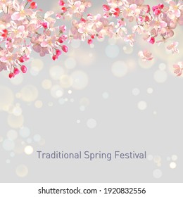 Spring blossom background with plum or cherry blossom