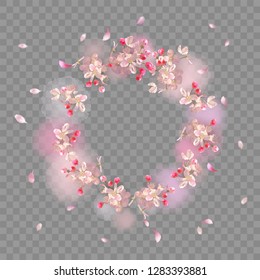 Spring Blossom Background. Watercolor transparent frame with cherry flowers and flying petals