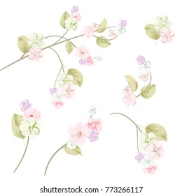 Spring blossom (bloom), branches with mauve, pink apple tree flowers. Set of light floret, buds, green leaves on white background. Digital draw, close-up in watercolor style, vintage, vector
