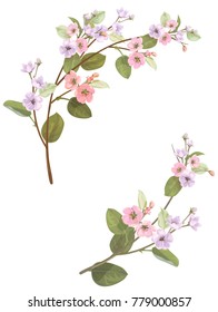 Spring blossom (bloom), branches with mauve, pink apple tree flowers. Bouquet light floret, buds, green leaves on white background. Digital draw, close-up in watercolor style, vintage, vector