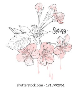 Spring blossom cherry tree branch on white background. Watercolor vector drops. Sakura