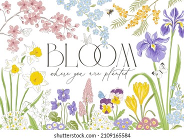 Spring blossom flower butterfly hand drawn vector illustration. Bloom where you are planted phrase. Vintage delicate romantic nature print poster card.