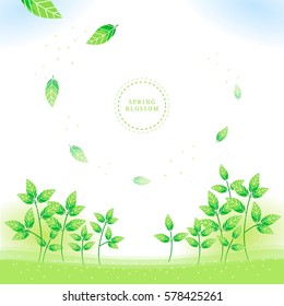 Spring blossom, Flower illustration, frame