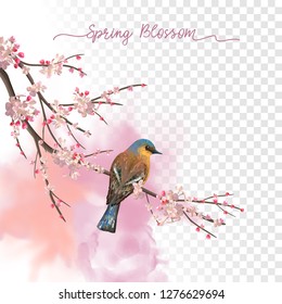 Spring Blossom. Flowering plum branch and bird in springtime on a transparent watercolor background