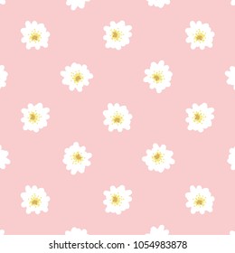 Spring Blossom Flowers Background