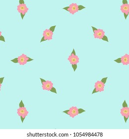 Spring Blossom Flowers Background