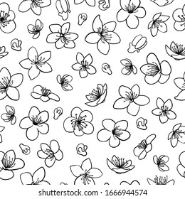Spring blossom flowers black line isolated vector seamless pattern
