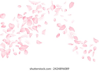 Spring blossom flying petals flower parts falling with wind isolated on white. Vector Valentine's Day background illustration. Sakura blossom pink flower petals. Brooming peach tree elements.