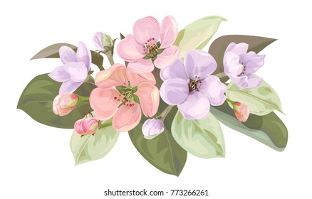 Spring blossom, horizontal border with mauve, pink apple tree flowers. Bouquet light floret, buds, green leaves on white background. Digital draw illustration in watercolor style, vintage, vector