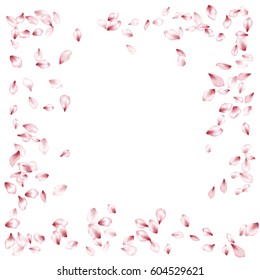 Spring blossom isolated elements border. Pink Flower Petal Confetti Vector Square Frame on White Background. Cherry bloom parts. 
