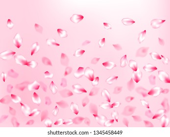 Spring blossom isolated petals flying on rose color background. Blur effect bloom parts. Pastel rose color apple flower petals design. Japanese cherry flower parts falling vector pattern.