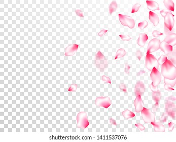 Spring blossom isolated petals flying on transparent background. Springtime symbols. Pastel rose color apple flower petals design. Japanese cherry flower parts falling vector pattern.