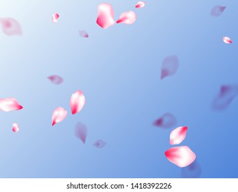 Spring blossom isolated petals flying on blue sky background. Fresh blowing backdrop. Pastel pink blossom petals floral design. Japanese cherry flower parts falling vector pattern.